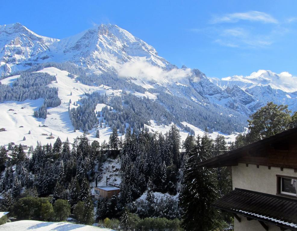 Villa Chalet Silky Adelboden Exterior foto