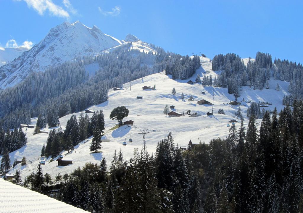 Villa Chalet Silky Adelboden Exterior foto