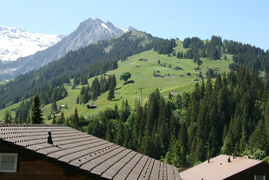 Villa Chalet Silky Adelboden Exterior foto